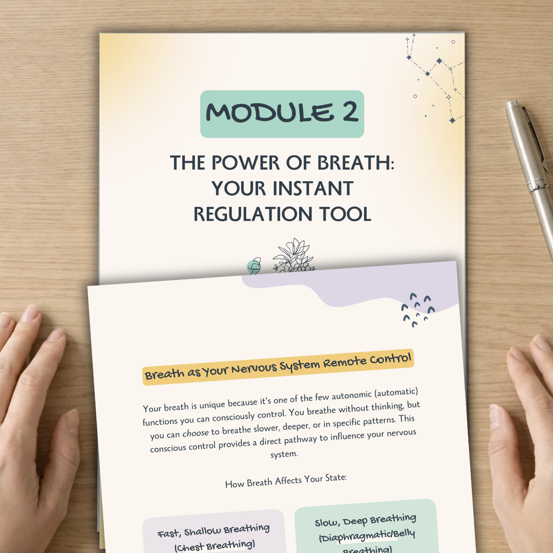 Nervous System Reset Workbook, Emotional Regulation Worksheets, Coping Skills & Stress Relief Exercises